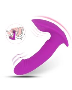 Vibrateur portable Dildo Culotte vibrante Massage vaginal Point G Stimulateur du clitoris